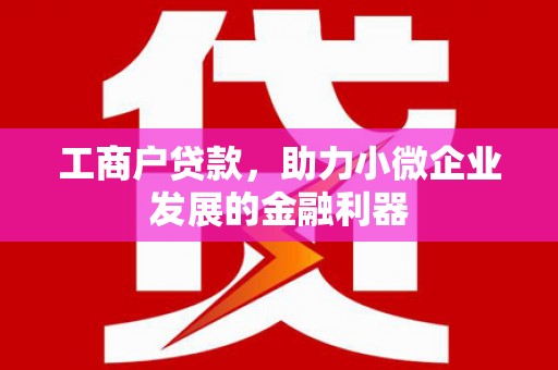 鹿谷工商户贷款，助力小微企业发展的金融利器
