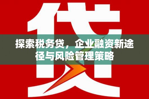 鹿谷探索税务贷，企业融资新途径与风险管理策略