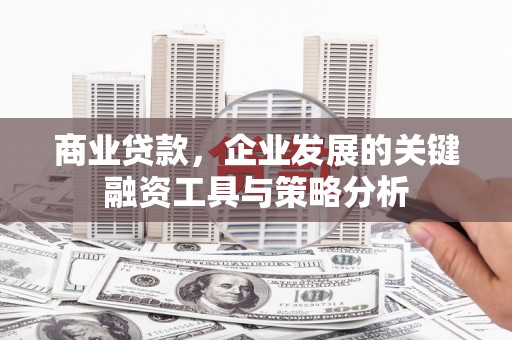 鹿谷商业贷款，企业发展的关键融资工具与策略分析