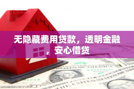 鹿谷无隐藏费用贷款，透明金融，安心借贷