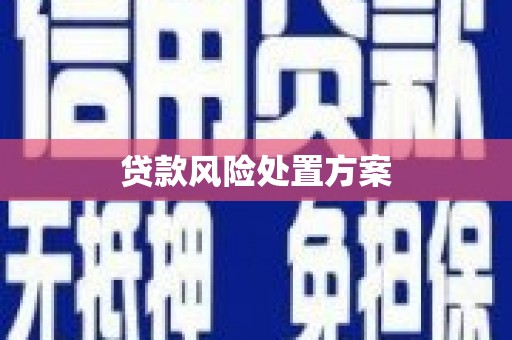 鹿谷贷款风险处置方案