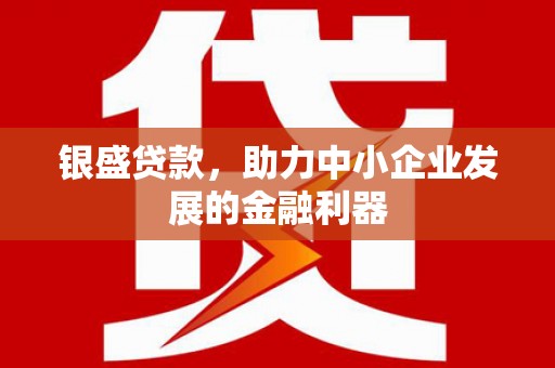 鹿谷银盛贷款，助力中小企业发展的金融利器