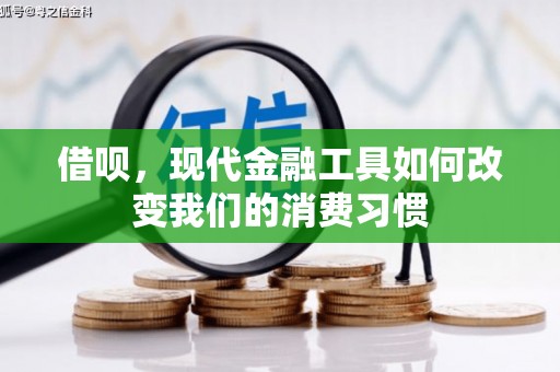 鹿谷借呗，现代金融工具如何改变我们的消费习惯