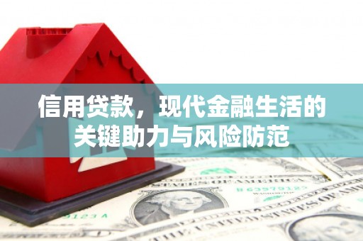 鹿谷信用贷款，现代金融生活的关键助力与风险防范