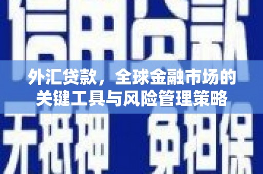 鹿谷外汇贷款，全球金融市场的关键工具与风险管理策略