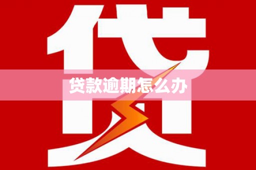 鹿谷贷款逾期怎么办