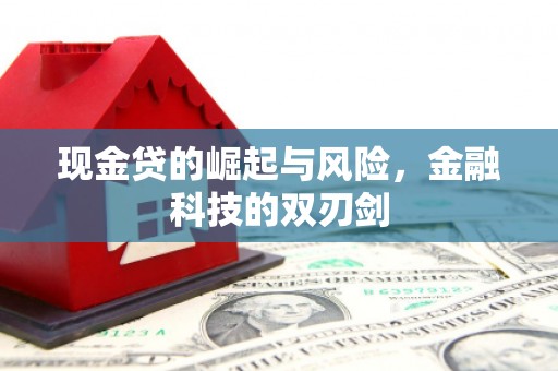 鹿谷现金贷的崛起与风险，金融科技的双刃剑