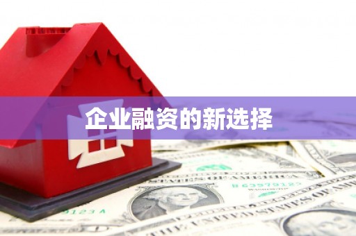 鹿谷企业融资的新选择