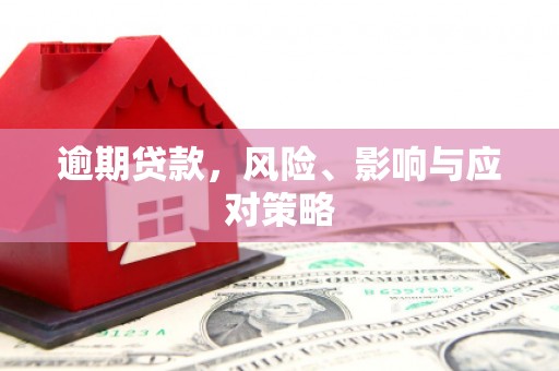 鹿谷逾期贷款，风险、影响与应对策略