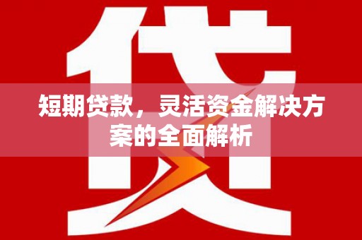 鹿谷短期贷款，灵活资金解决方案的全面解析