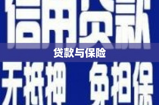 鹿谷贷款与保险