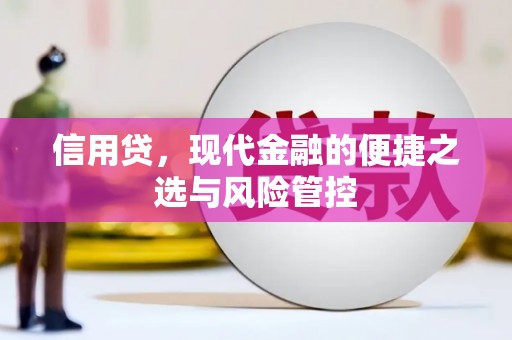 鹿谷信用贷，现代金融的便捷之选与风险管控