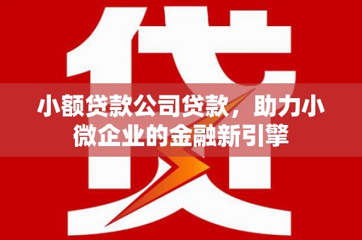鹿谷小额贷款公司贷款，助力小微企业的金融新引擎