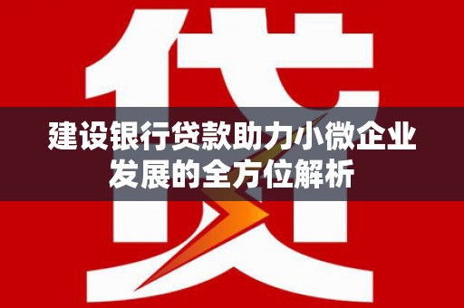 鹿谷建设银行贷款助力小微企业发展的全方位解析
