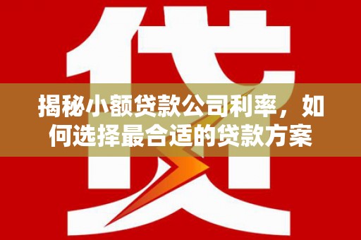 鹿谷揭秘小额贷款公司利率，如何选择最合适的贷款方案