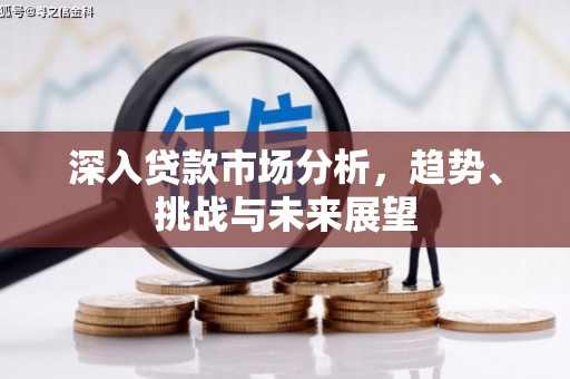 鹿谷深入贷款市场分析，趋势、挑战与未来展望