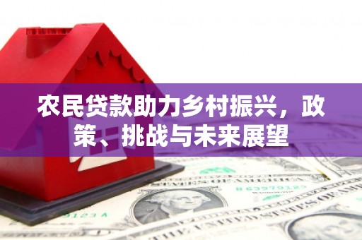 鹿谷农民贷款助力乡村振兴，政策、挑战与未来展望