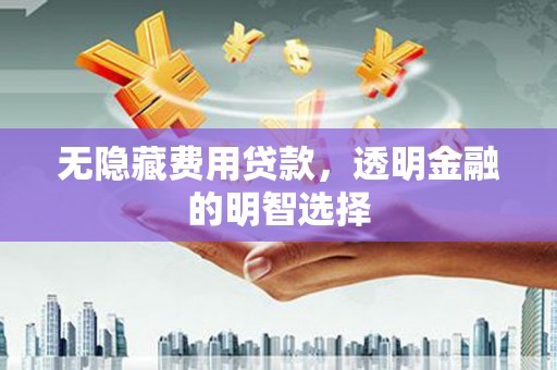 鹿谷无隐藏费用贷款，透明金融的明智选择