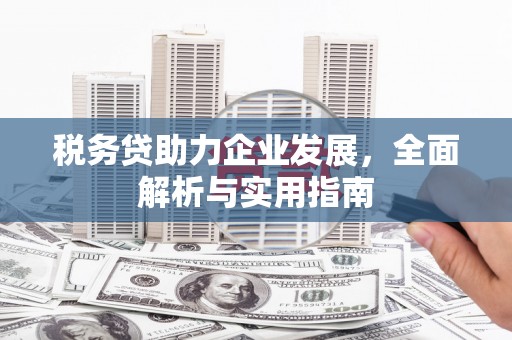 鹿谷税务贷助力企业发展，全面解析与实用指南