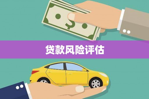 鹿谷贷款风险评估