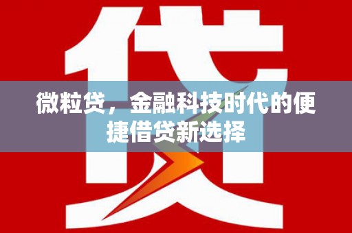 鹿谷微粒贷，金融科技时代的便捷借贷新选择