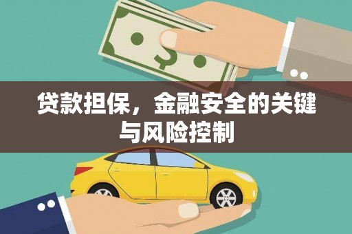 鹿谷贷款担保，金融安全的关键与风险控制