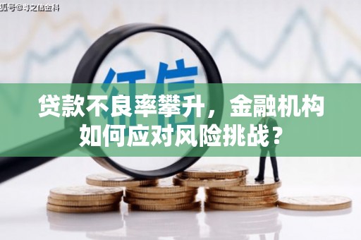 鹿谷贷款不良率攀升，金融机构如何应对风险挑战？