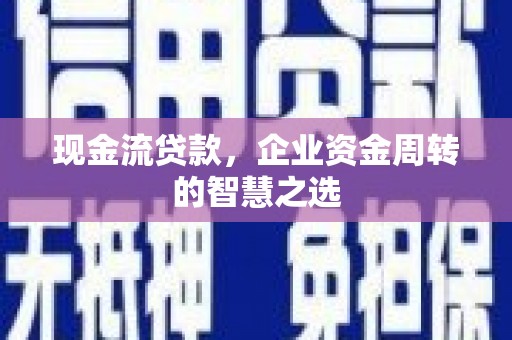 鹿谷现金流贷款，企业资金周转的智慧之选