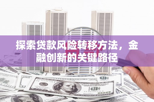 鹿谷探索贷款风险转移方法，金融创新的关键路径