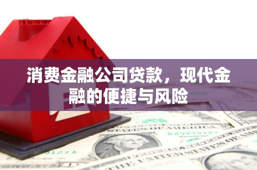 鹿谷消费金融公司贷款，现代金融的便捷与风险