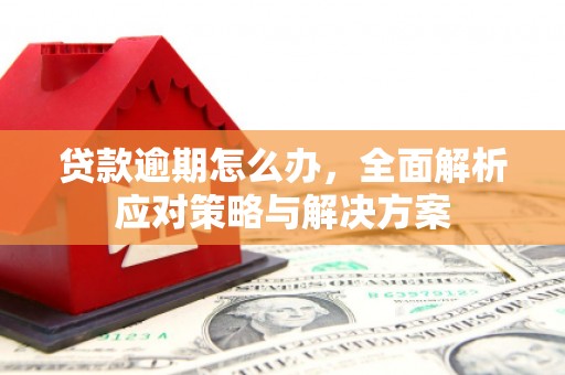 鹿谷贷款逾期怎么办，全面解析应对策略与解决方案