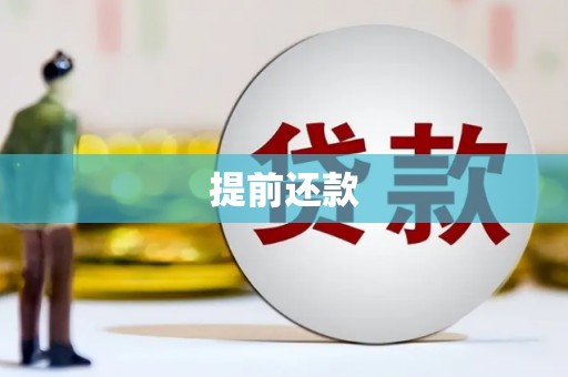 鹿谷提前还款