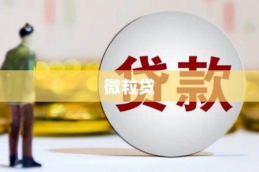 鹿谷微粒贷