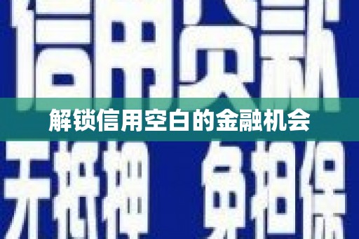 鹿谷解锁信用空白的金融机会