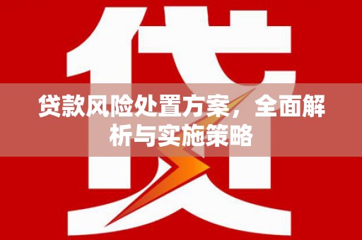鹿谷贷款风险处置方案，全面解析与实施策略