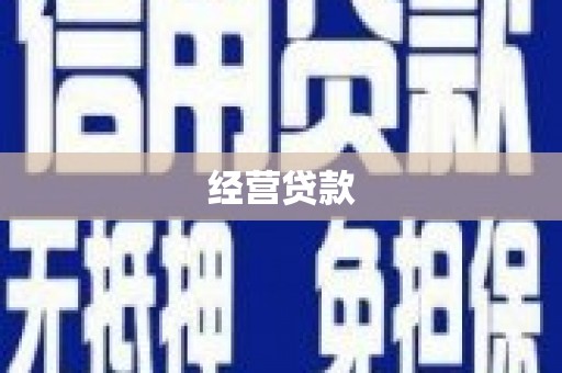 鹿谷经营贷款
