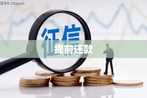鹿谷提前还款