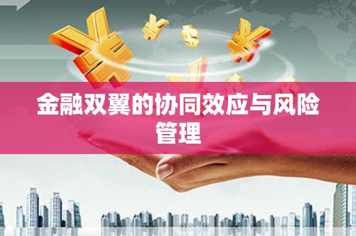 鹿谷金融双翼的协同效应与风险管理